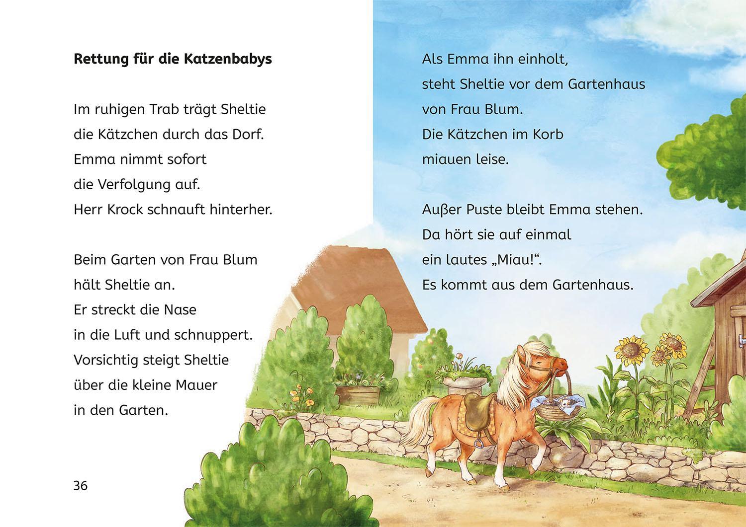 Bild: 9783440178317 | Sheltie, Bücherhelden 1. Klasse, Sheltie und die Katzenbabys | Kessel