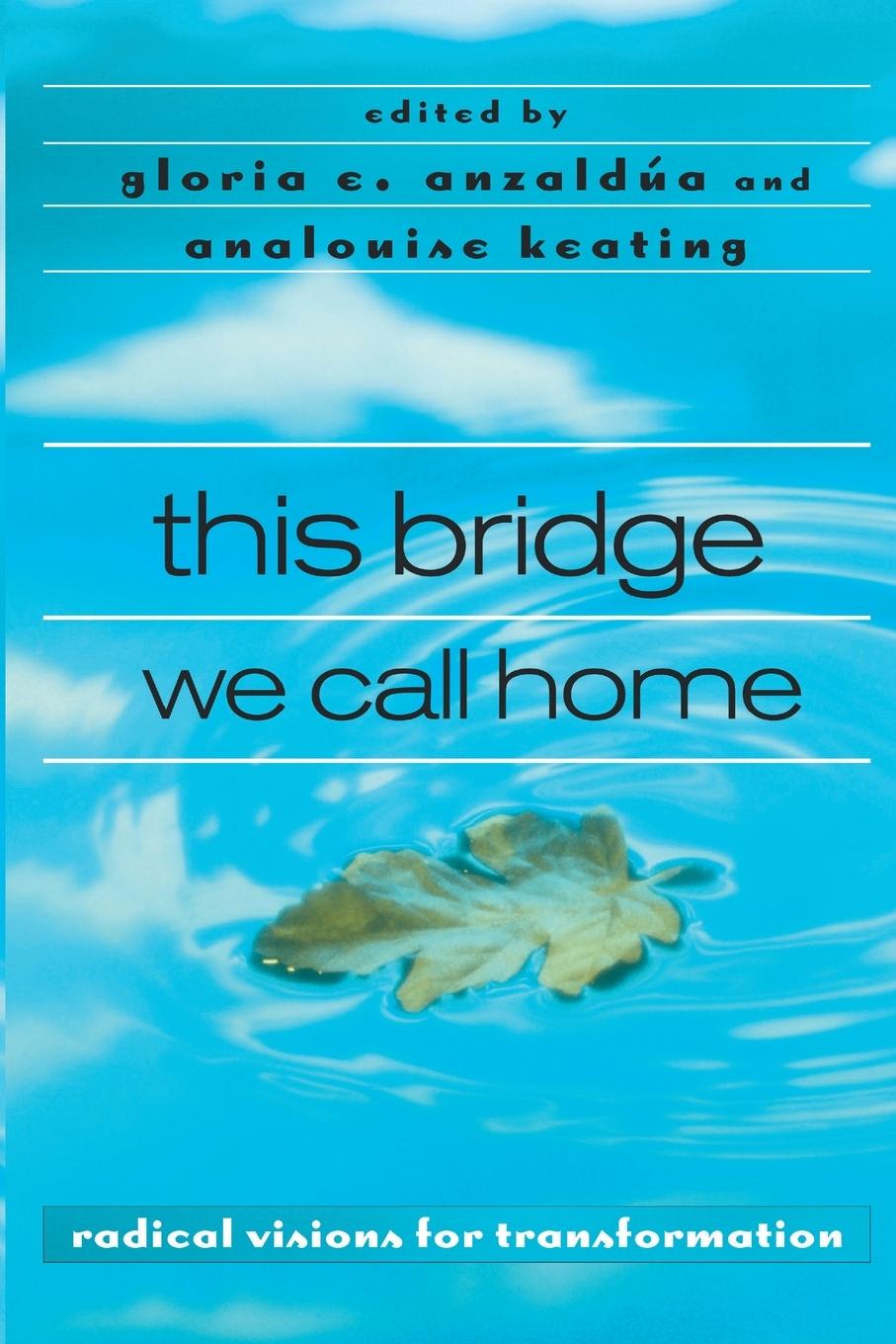 Cover: 9780415936828 | this bridge we call home | radical visions for transformation | Buch