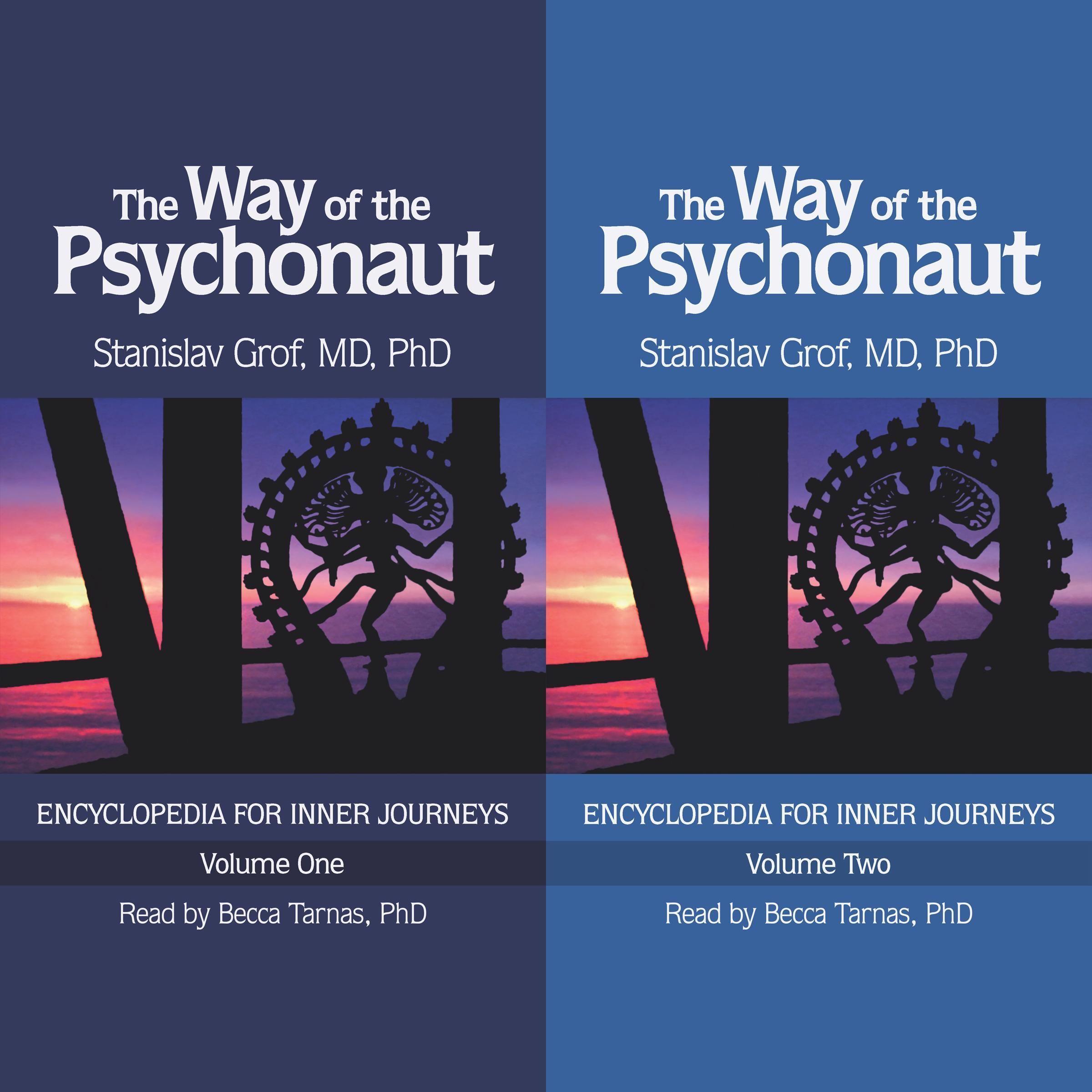 Cover: 9780998276595 | The Way of the Psychonaut Vol. 1 | Encyclopedia for Inner Journeys