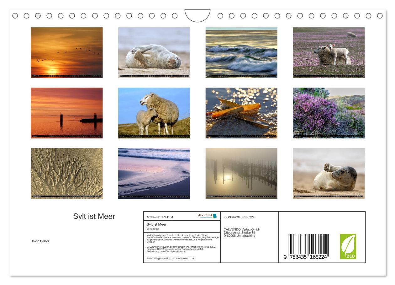 Bild: 9783435168224 | Sylt ist Meer (Wandkalender 2025 DIN A4 quer), CALVENDO Monatskalender