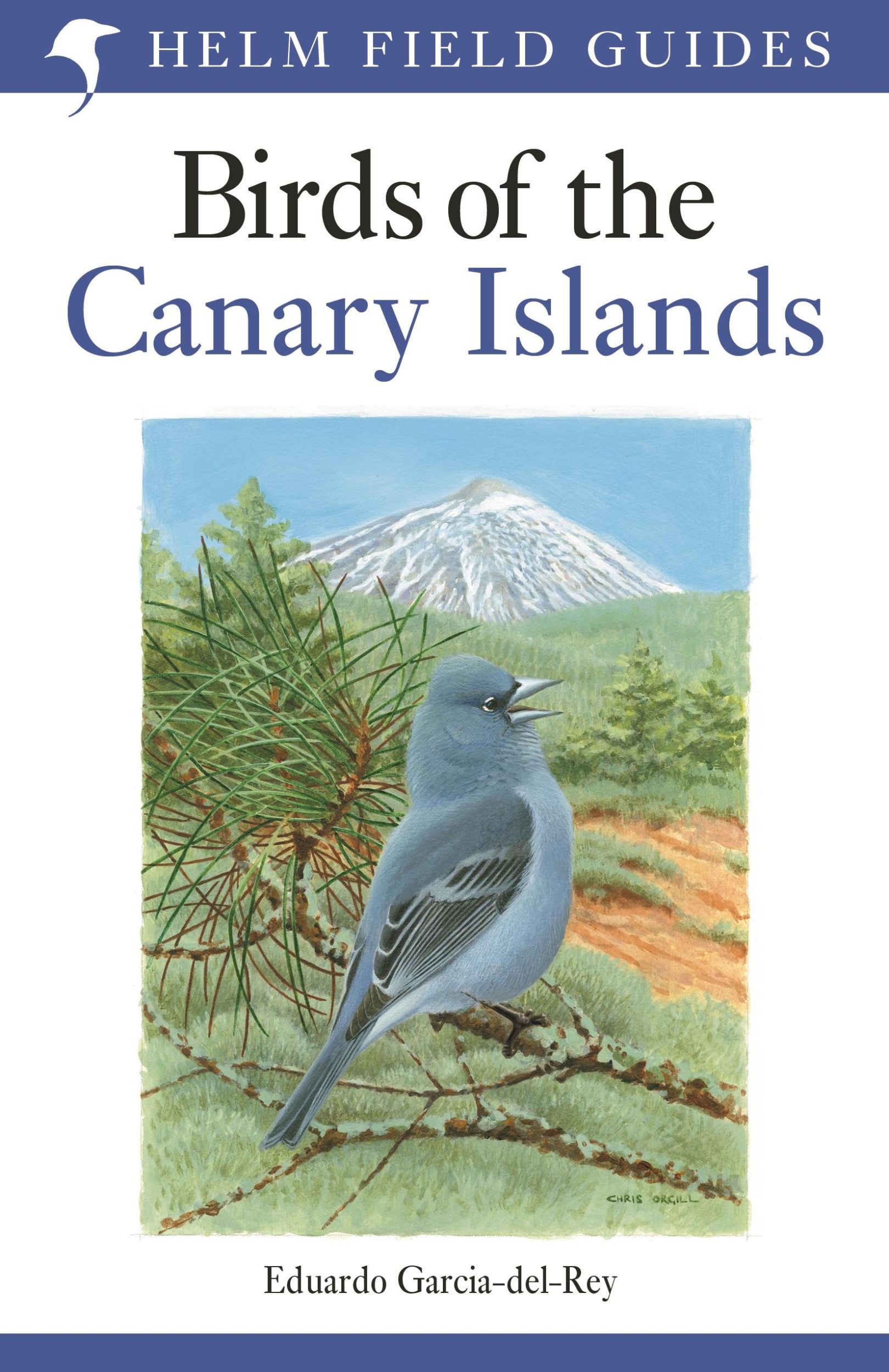 Cover: 9781472941558 | Field Guide to the Birds of the Canary Islands | Garcia-Del-Rey | Buch