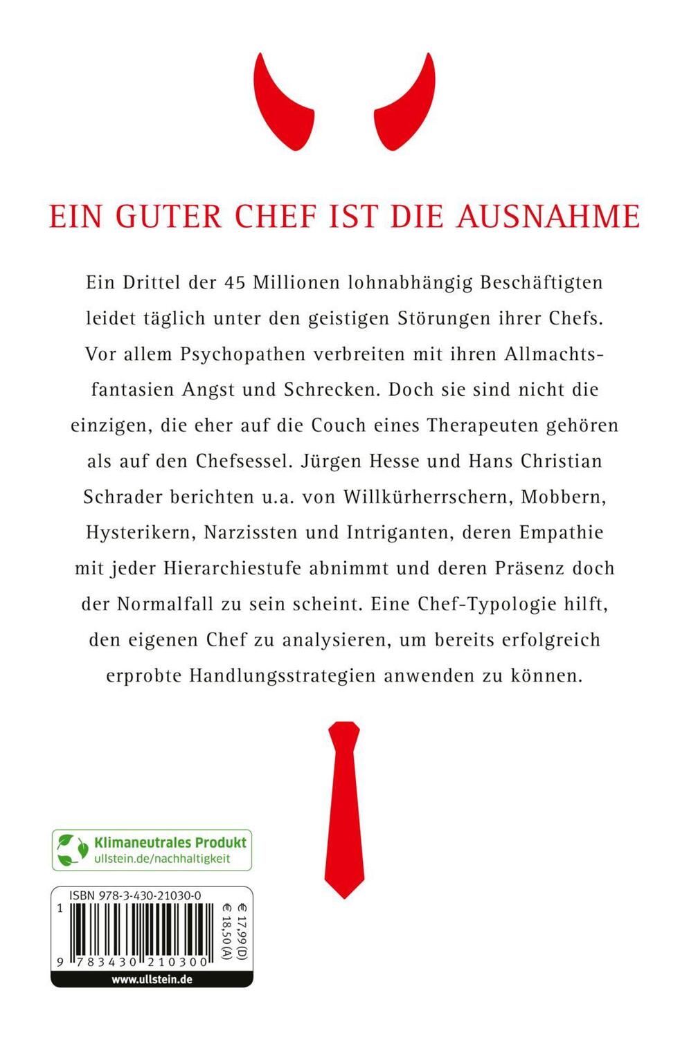 Rückseite: 9783430210300 | Mein Chef ist irre - Ihrer auch? | Jürgen Hesse (u. a.) | Taschenbuch