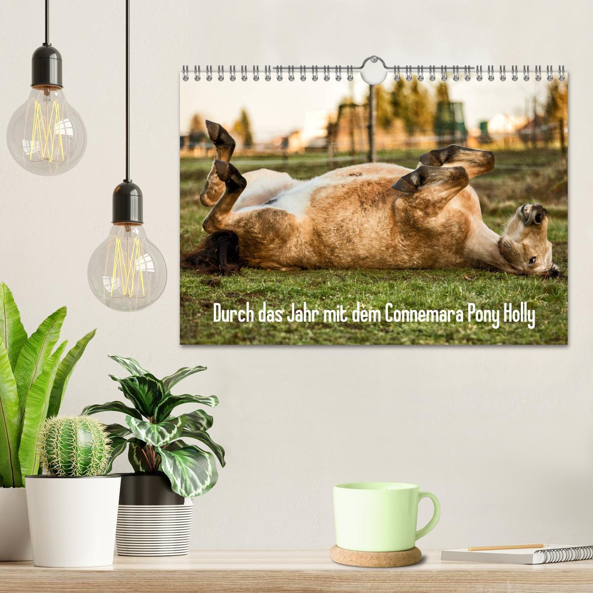 Bild: 9783435172542 | Durch das Jahr mit dem Connemara Pony Holly (Wandkalender 2025 DIN...