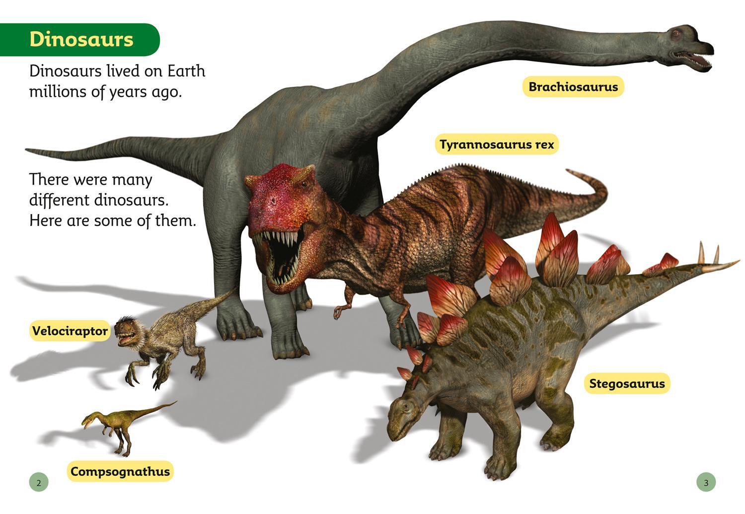 Bild: 9780007185719 | Top Dinosaurs | Band 04/Blue | Maoliosa Kelly | Taschenbuch | Englisch