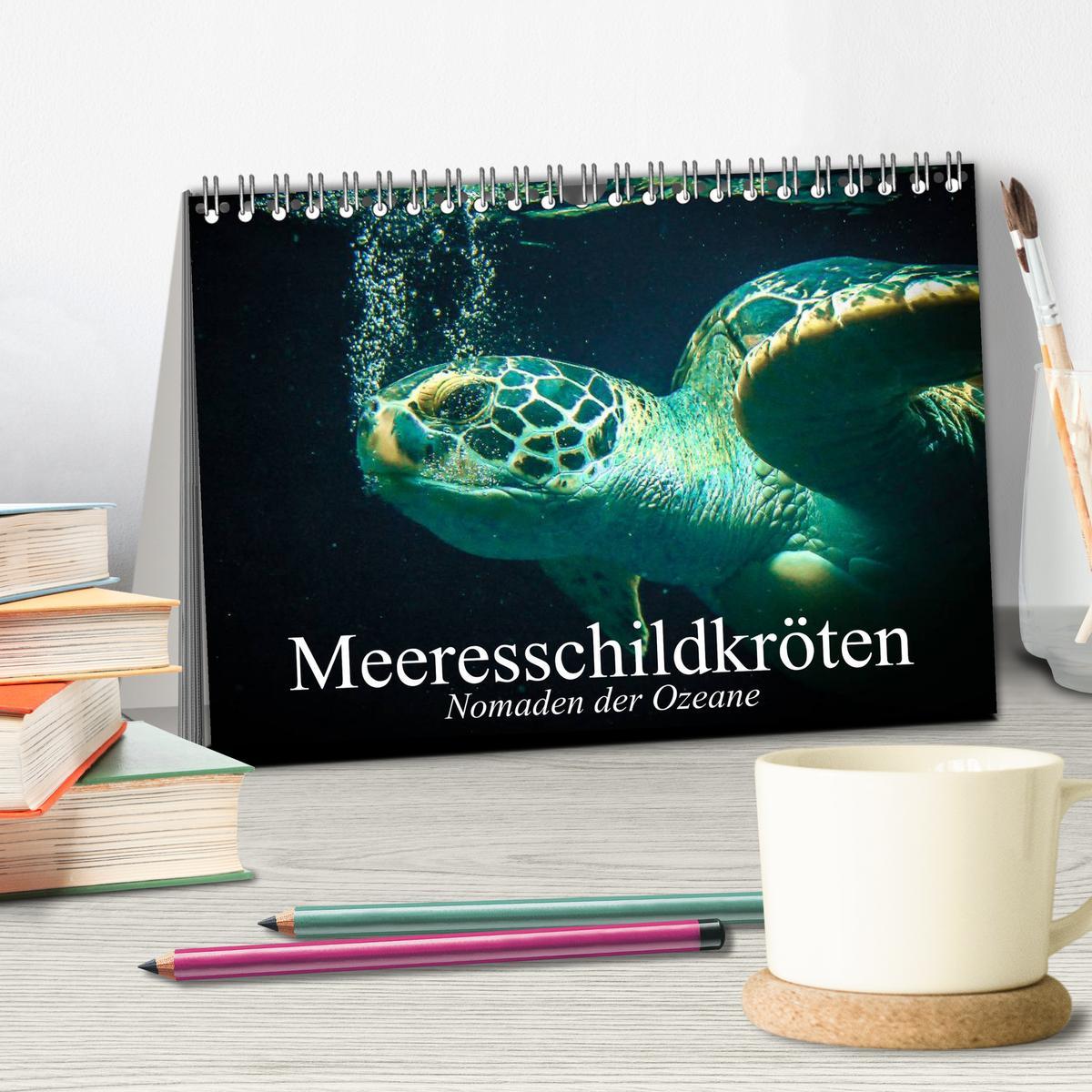 Bild: 9783435588077 | Meeresschildkröten. Nomaden der Ozeane (Tischkalender 2025 DIN A5...