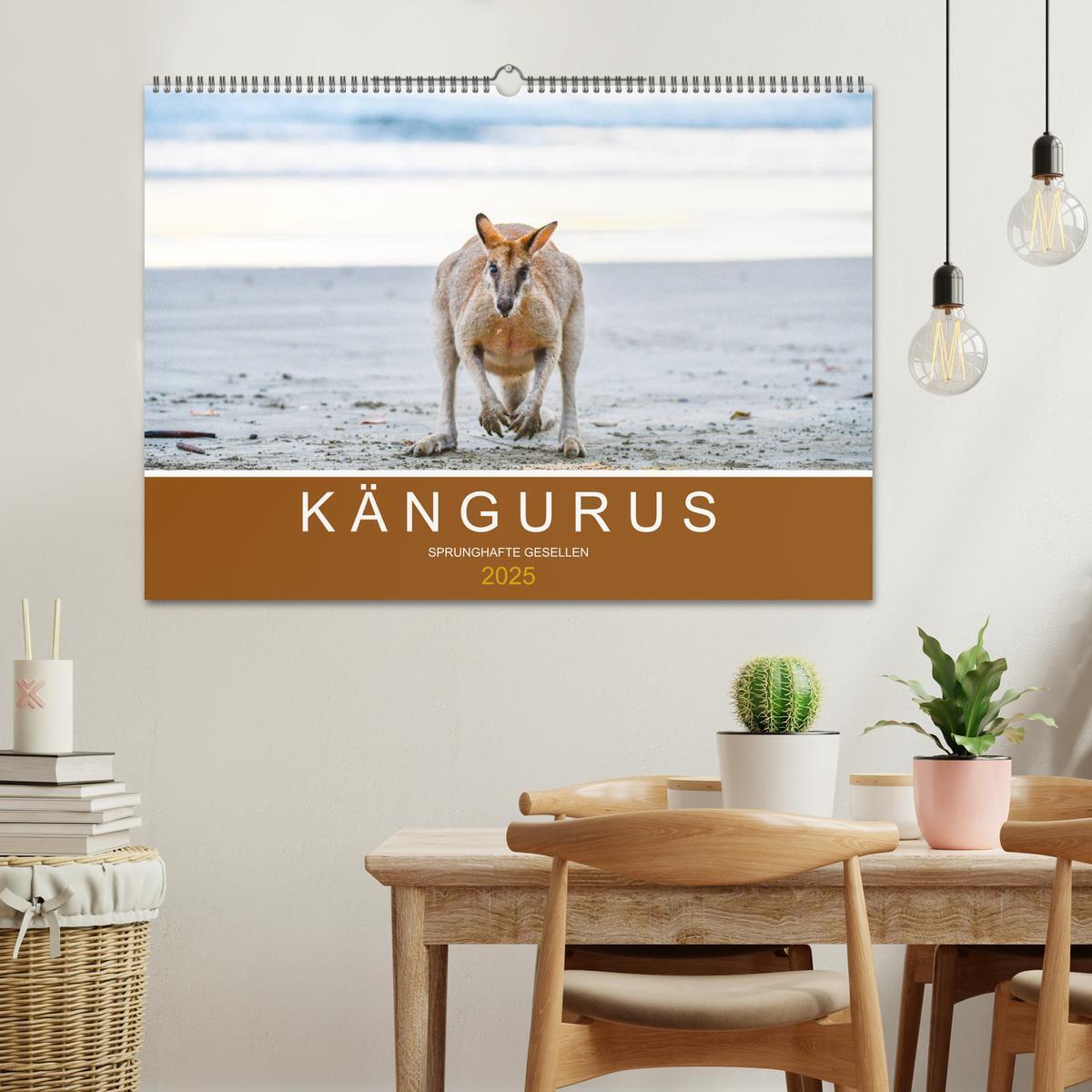 Bild: 9783435188680 | Kängurus, sprunghafte Gesellen (Wandkalender 2025 DIN A2 quer),...