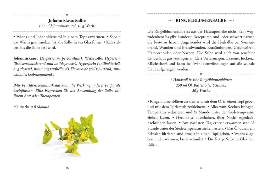 Bild: 9783710401770 | Das große kleine Buch: Heilsalben aus Wald und Wiese | Gabriela Nedoma