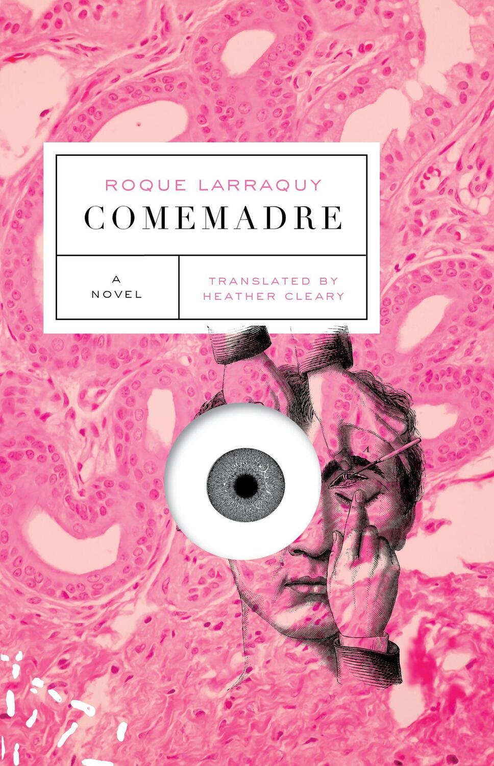 Cover: 9781566895156 | Comemadre | Roque Larraquy | Taschenbuch | Kartoniert / Broschiert