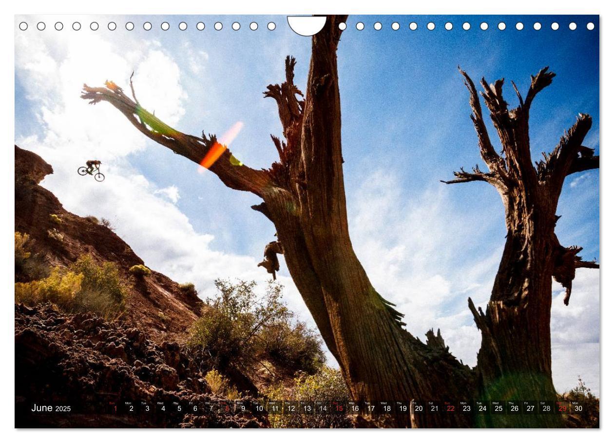 Bild: 9781325995752 | Mountain Bike 2025 by Stef. Candé / UK-Version (Wall Calendar 2025...