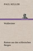 Cover: 9783847253570 | Waldwinter | Roman aus den schlesischen Bergen | Paul Keller | Buch