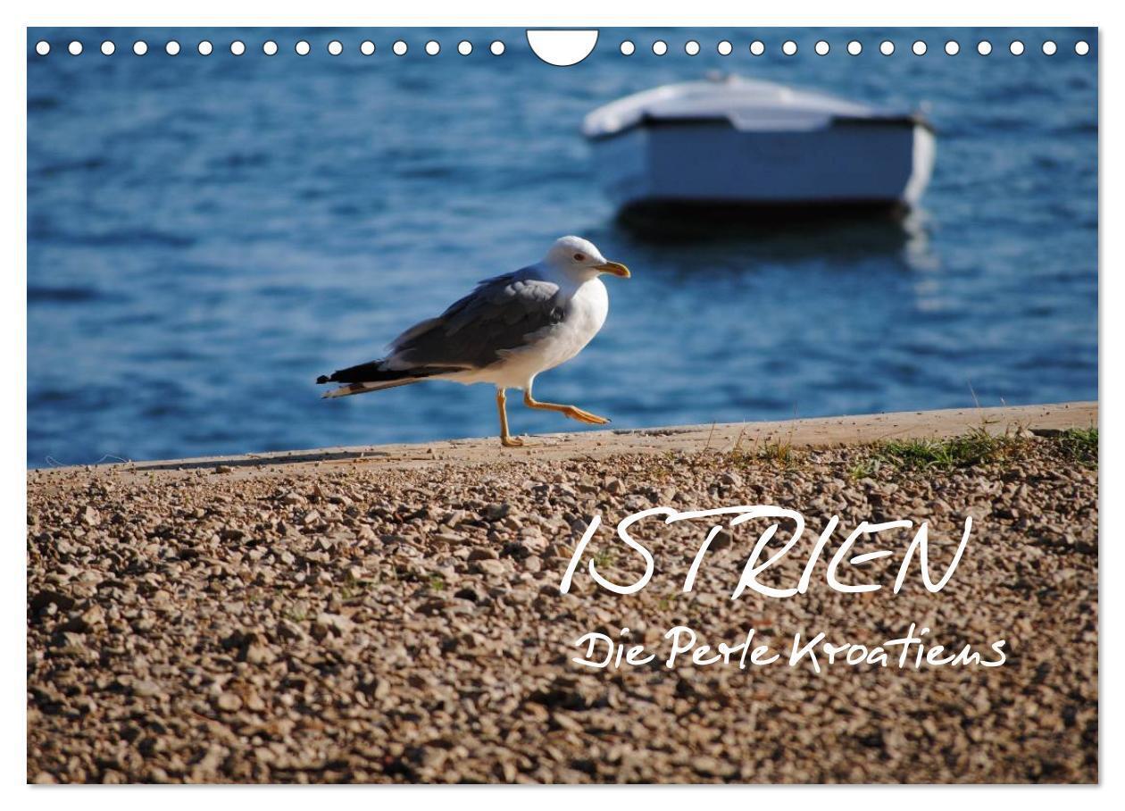 Cover: 9783435826247 | ISTRIEN - Die Perle Kroatiens (Wandkalender 2025 DIN A4 quer),...