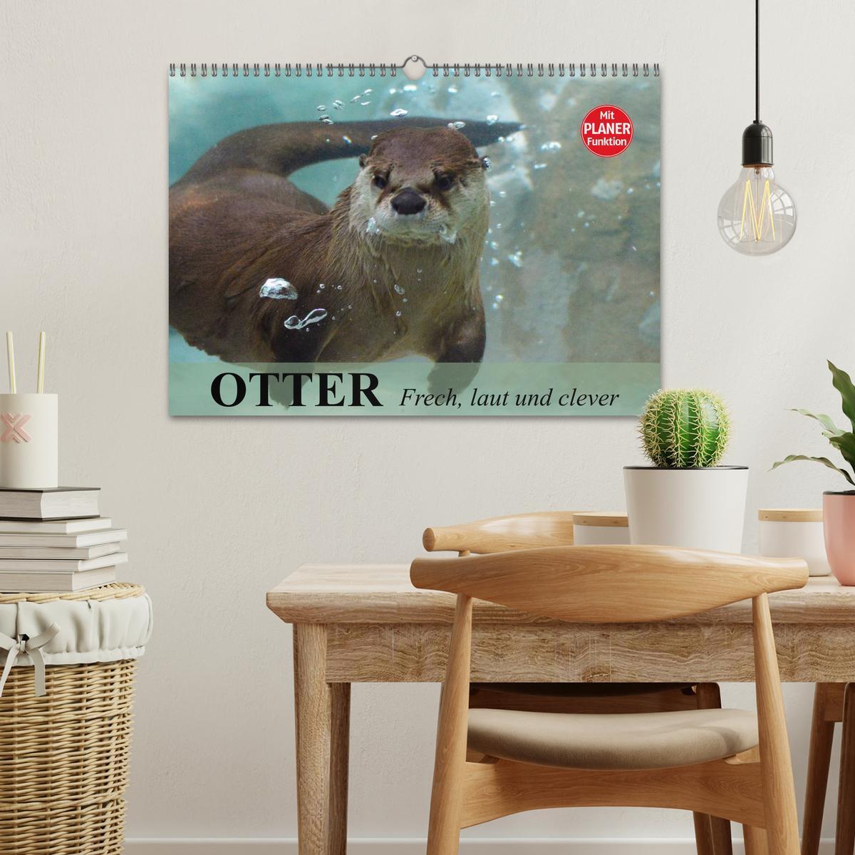 Bild: 9783435549467 | Otter. Frech, laut und clever (Wandkalender 2025 DIN A3 quer),...