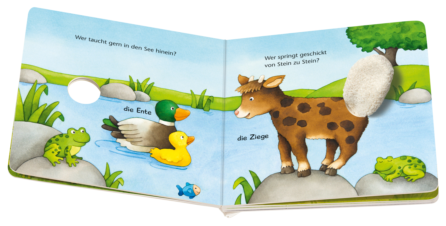 Bild: 9783473317851 | ministeps: Was wackelt hier? Was zappelt hier? | Mein Fingerspielbuch