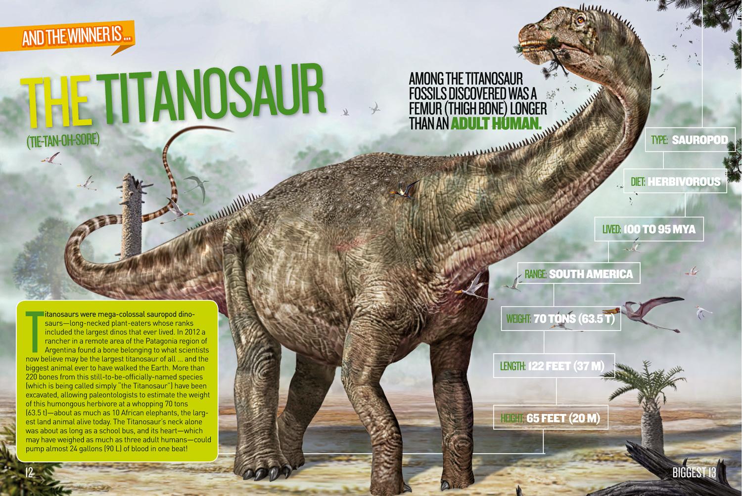 Bild: 9781426327940 | Dino Records | National Geographic Kids | Taschenbuch | Englisch