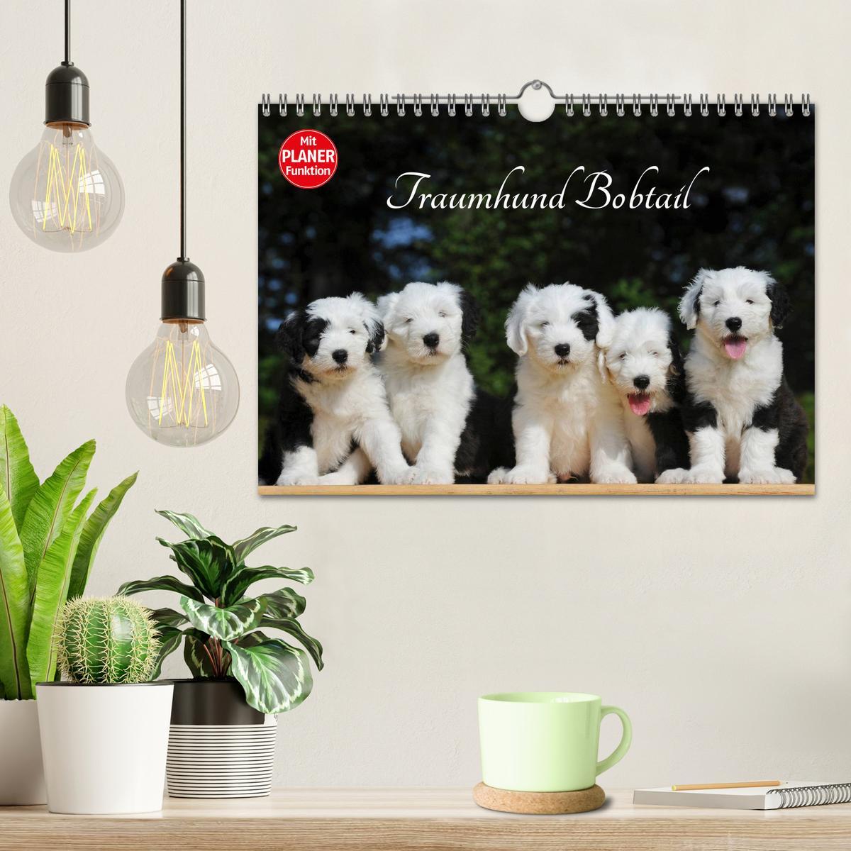 Bild: 9783435545902 | Traumhund Bobtail (Wandkalender 2025 DIN A4 quer), CALVENDO...