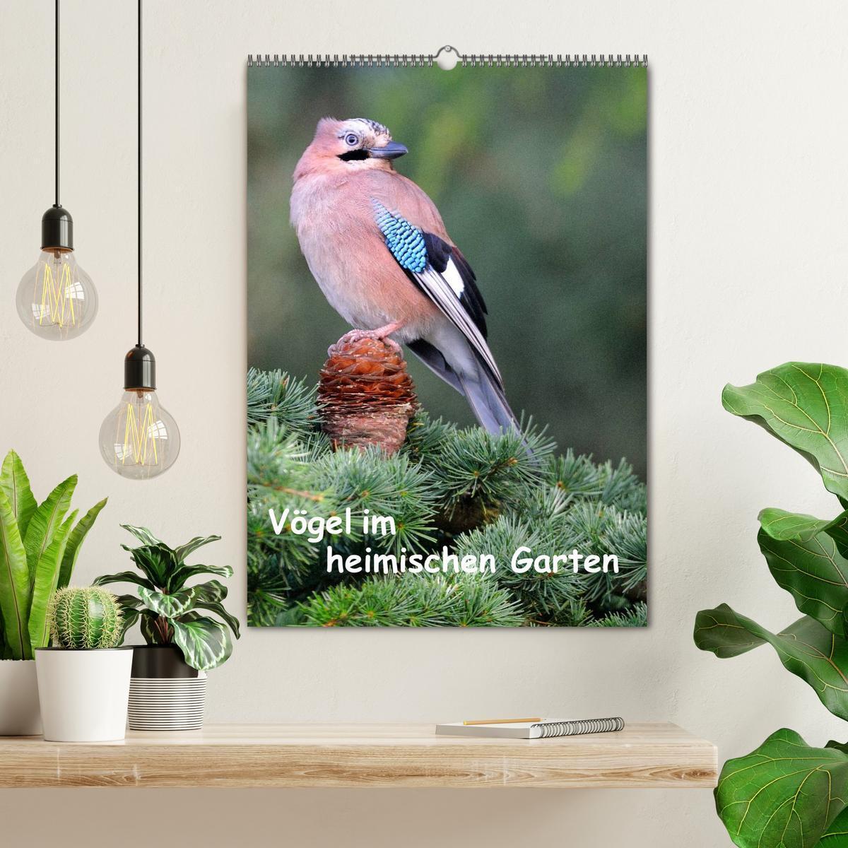 Bild: 9783457042342 | Vögel im heimischen Garten (Wandkalender 2025 DIN A2 hoch),...