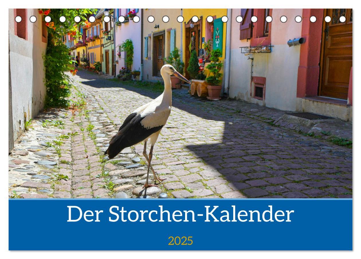 Cover: 9783435019038 | Der Storchenkalender (Tischkalender 2025 DIN A5 quer), CALVENDO...