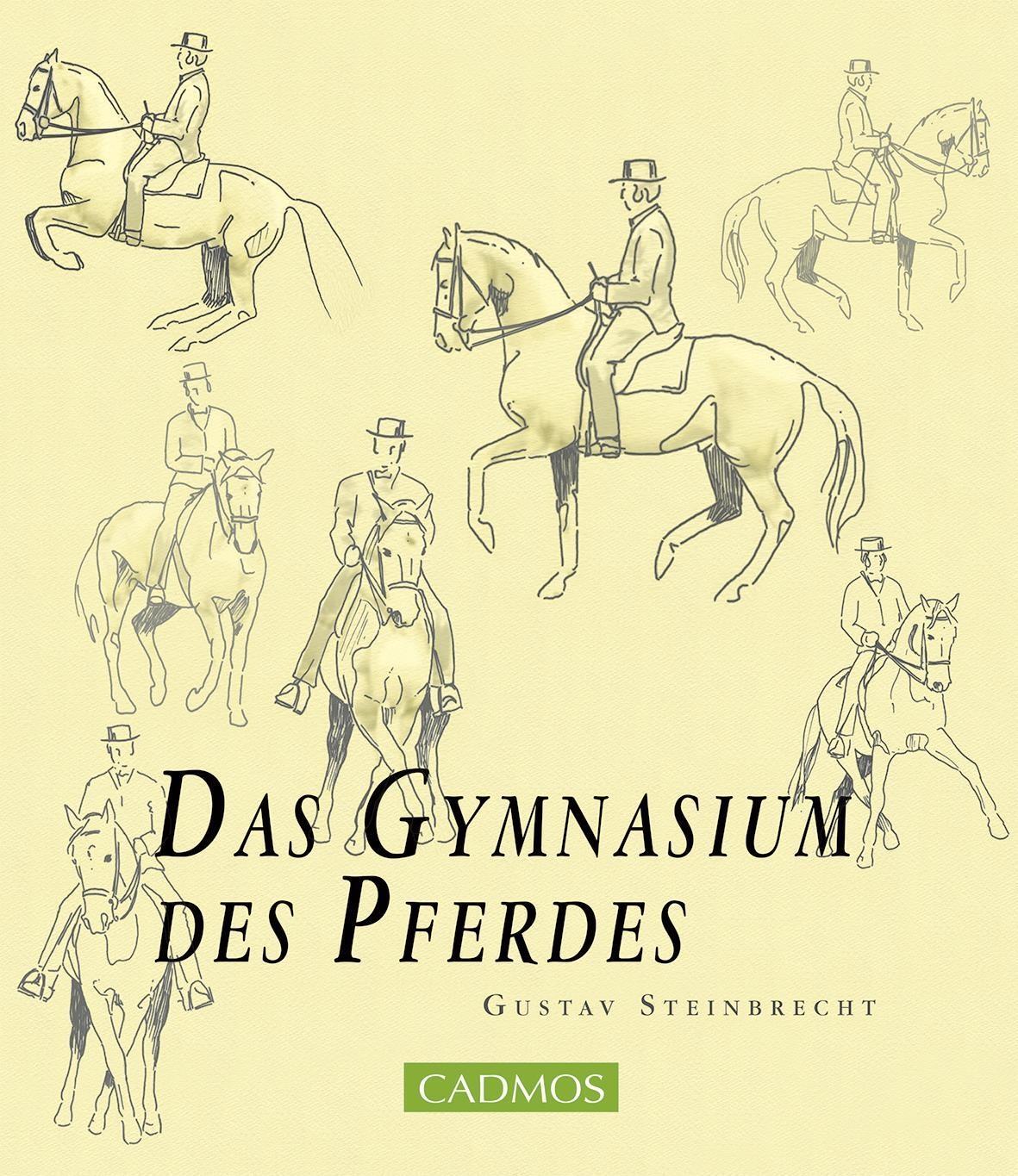 Cover: 9783840410895 | Das Gymnasium des Pferdes | Gustav Steinbrecht | Taschenbuch | 240 S.