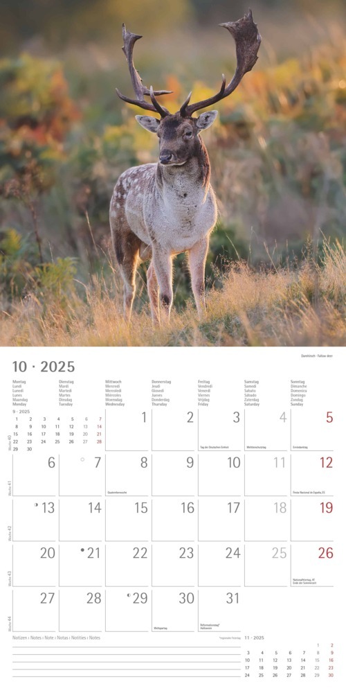 Bild: 4251732340803 | Alpha Edition - Wald &amp; Flur 2025 Broschürenkalender, 30x30cm,...