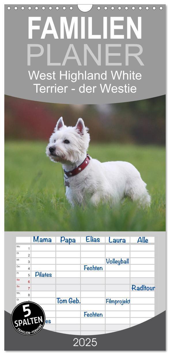 Cover: 9783457114063 | Familienplaner 2025 - West Highland White Terrier - Selbstbewustes...