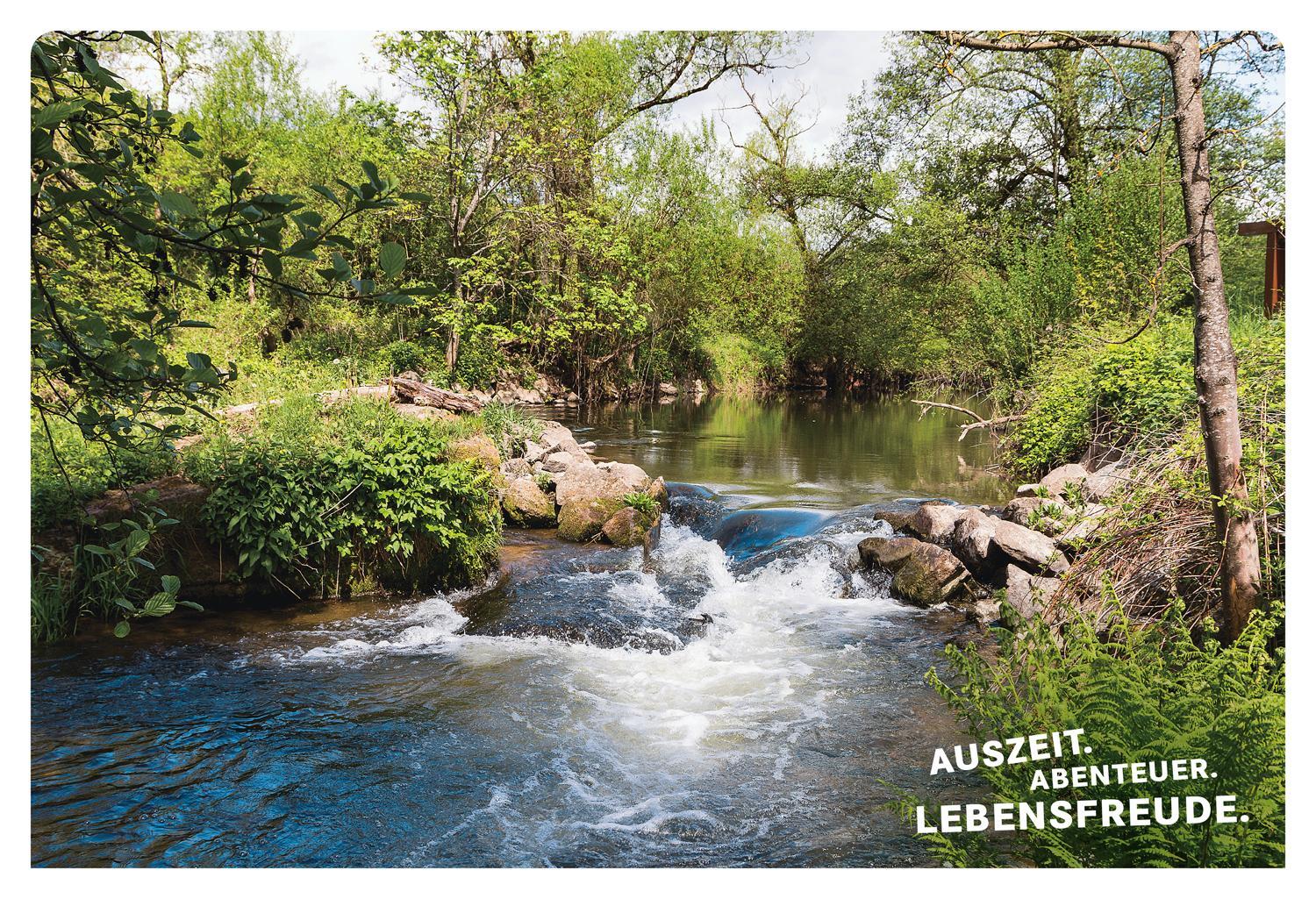 Bild: 9783616110011 | 52 kleine & große Eskapaden in und um Würzburg | Ab nach draußen!