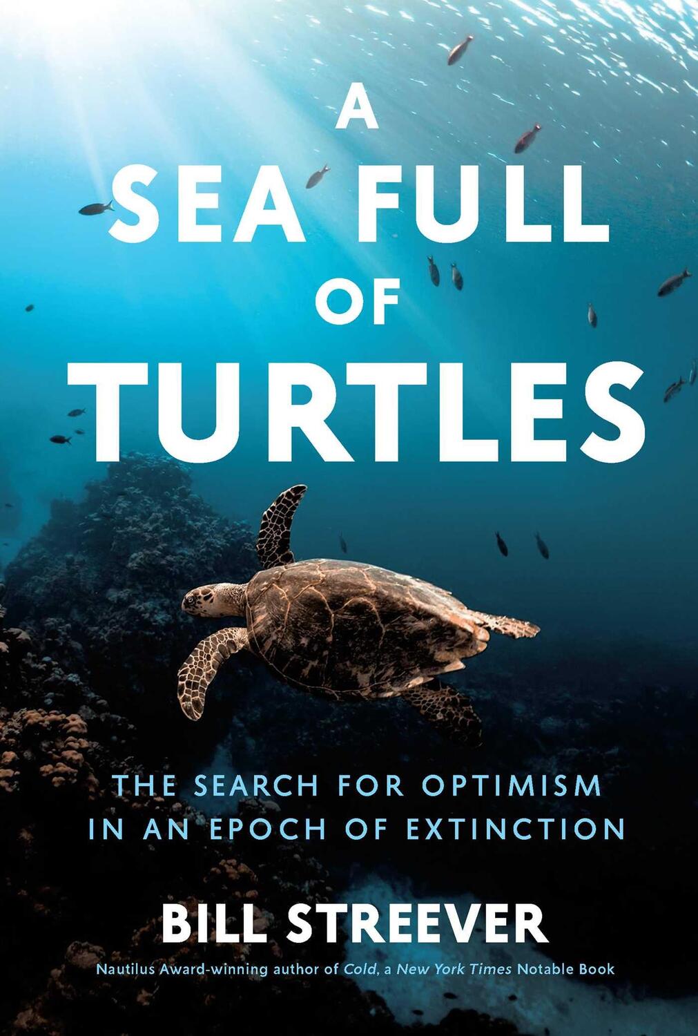 Cover: 9781639366699 | A Sea Full of Turtles | Bill Streever | Buch | Englisch | 2024