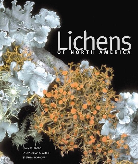 Cover: 9780300082494 | Lichens of North America | Irwin M. Brodo (u. a.) | Buch | Gebunden