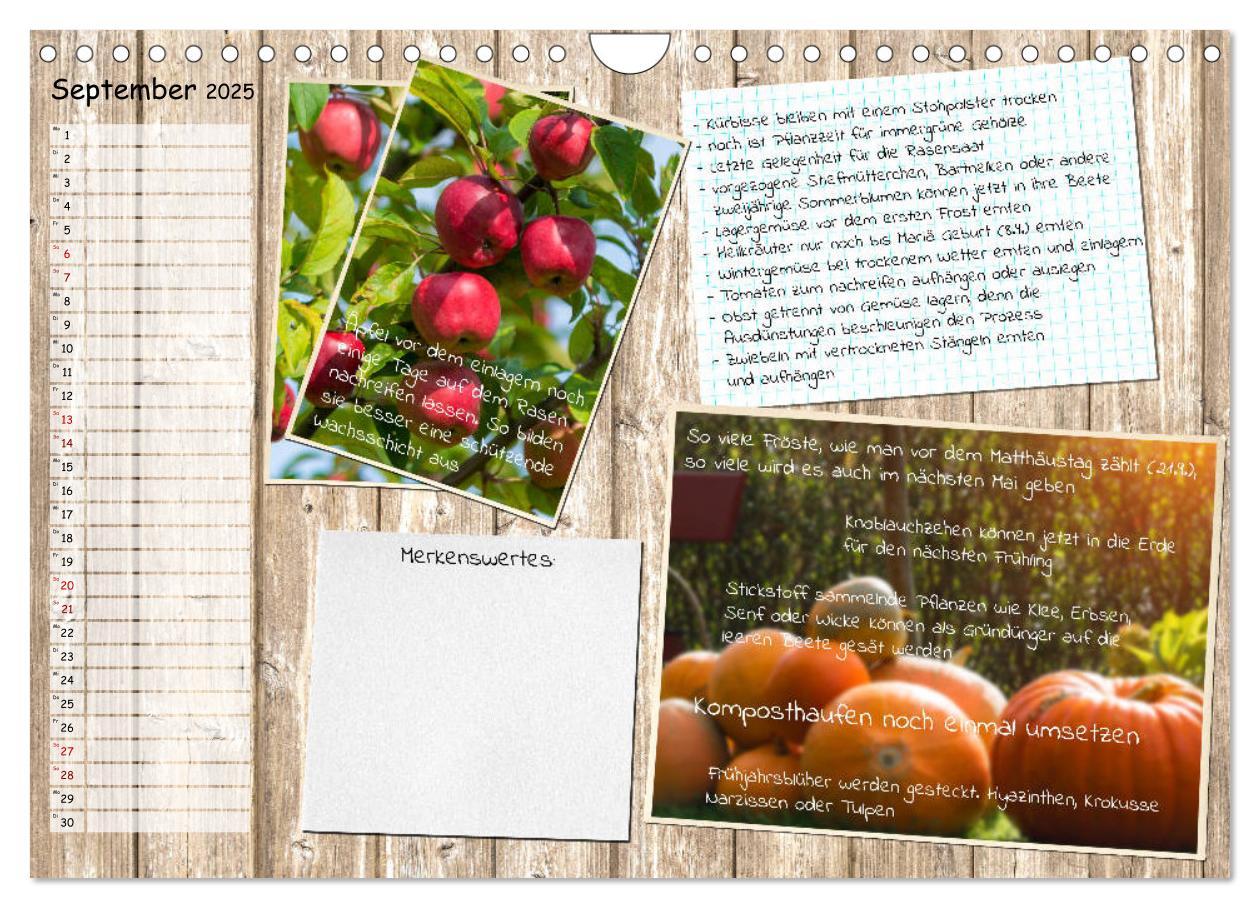 Bild: 9783435133116 | Was ist noch im Garten zu tun? (Wandkalender 2025 DIN A4 quer),...