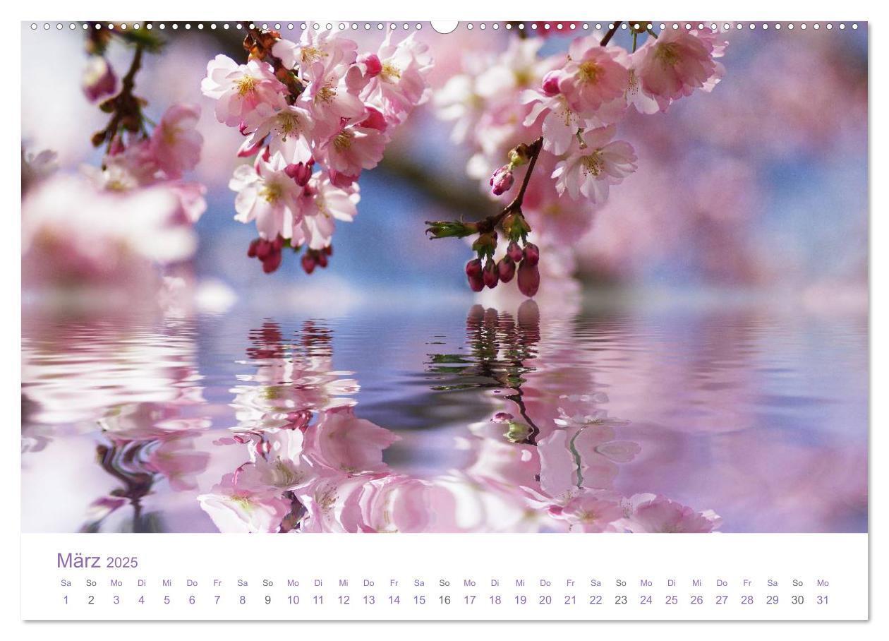 Bild: 9783435809516 | Blumen &amp; Blüten Träume (Wandkalender 2025 DIN A2 quer), CALVENDO...