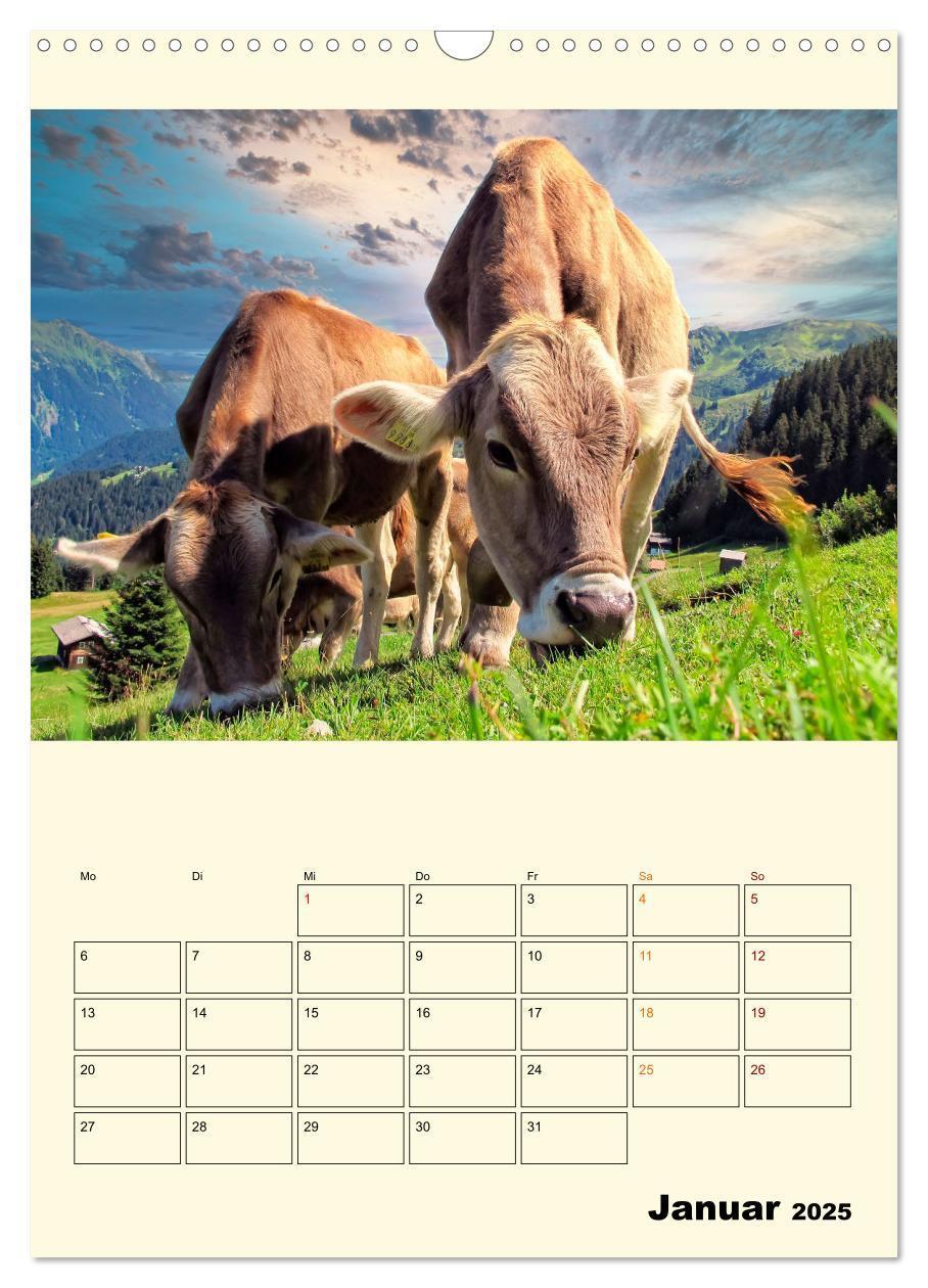 Bild: 9783435903993 | Glückliche Bergkühe (Wandkalender 2025 DIN A3 hoch), CALVENDO...