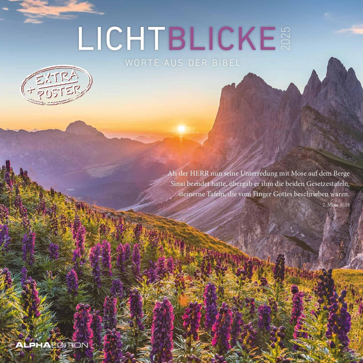 Cover: 4251732343156 | Lichtblicke 2025 - Broschürenkalender 30x30 cm (30x60 geöffnet) -...