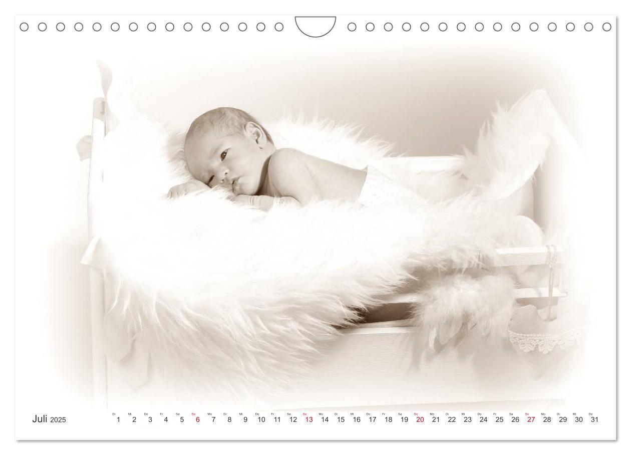 Bild: 9783435707362 | Babys - Willkommen im Leben (Wandkalender 2025 DIN A4 quer),...