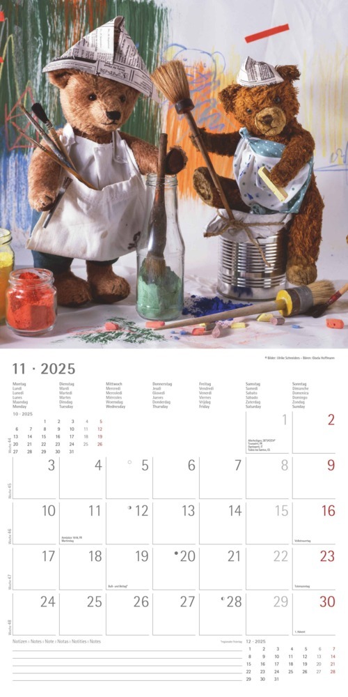 Bild: 4251732340643 | Alpha Edition - Teddy 2025 Broschürenkalender, 30x30cm,...