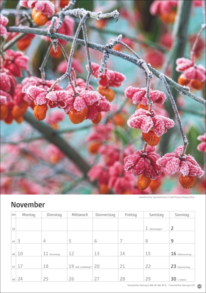 Bild: 9783756405572 | Gartenzauber Kalender 2025 | Kalender | Spiralbindung | 13 S. | 2025