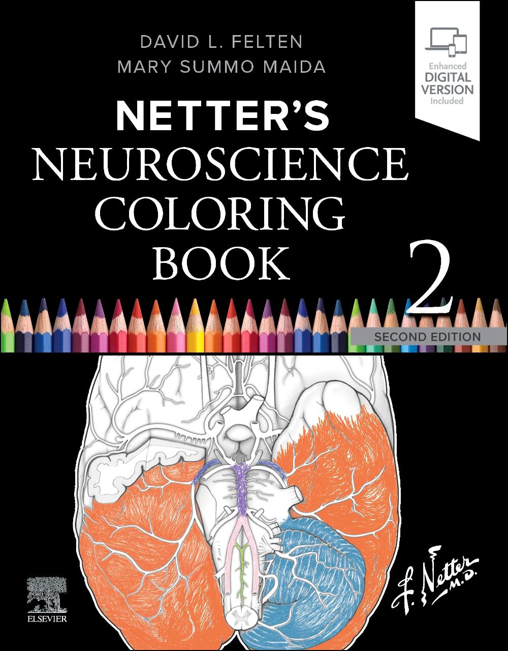 Cover: 9780443117312 | Netter's Neuroscience Coloring Book | David L Felten (u. a.) | Buch