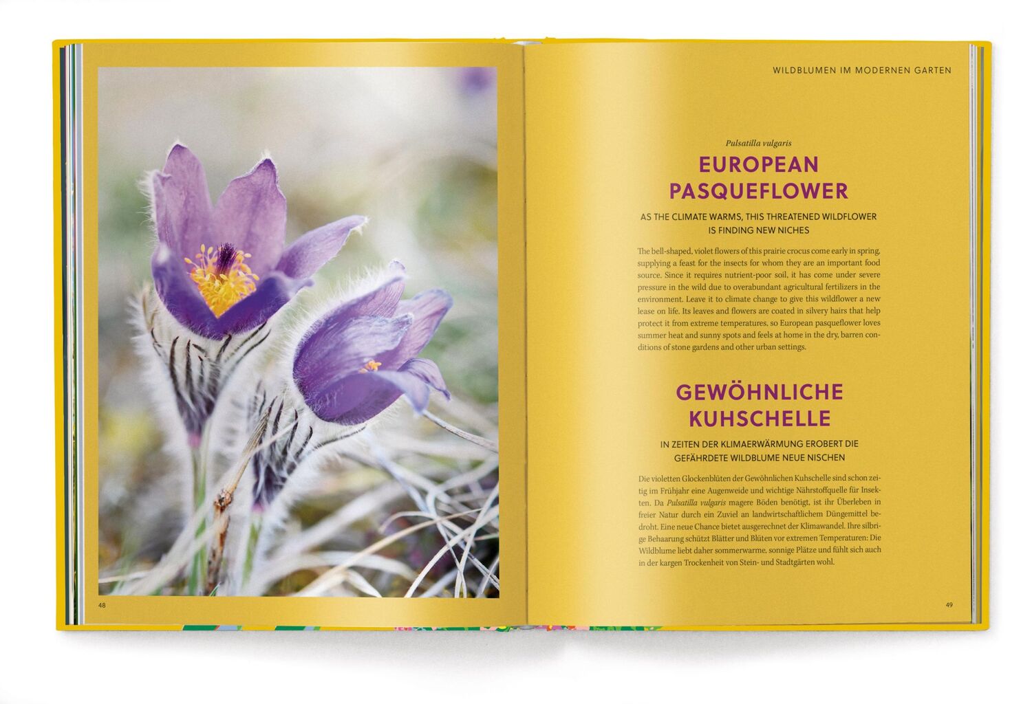 Bild: 9783961715404 | Floramour: Wildblumen | Anja Klaffenbach | Buch | 208 S. | Deutsch