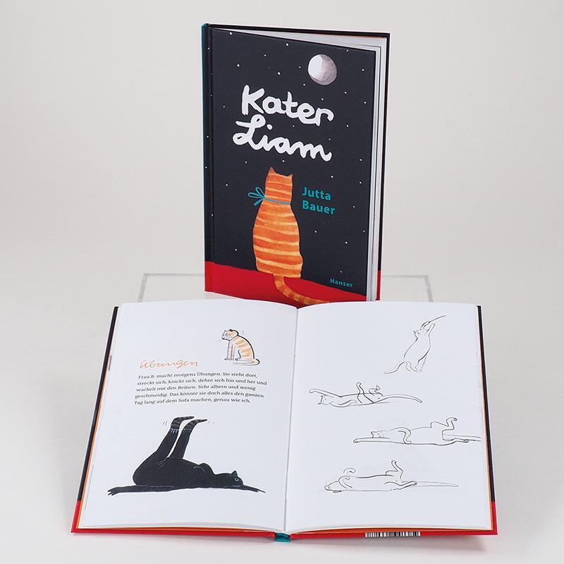 Bild: 9783446266087 | Kater Liam | Ansichten eines Felltieres | Jutta Bauer | Buch | 56 S.