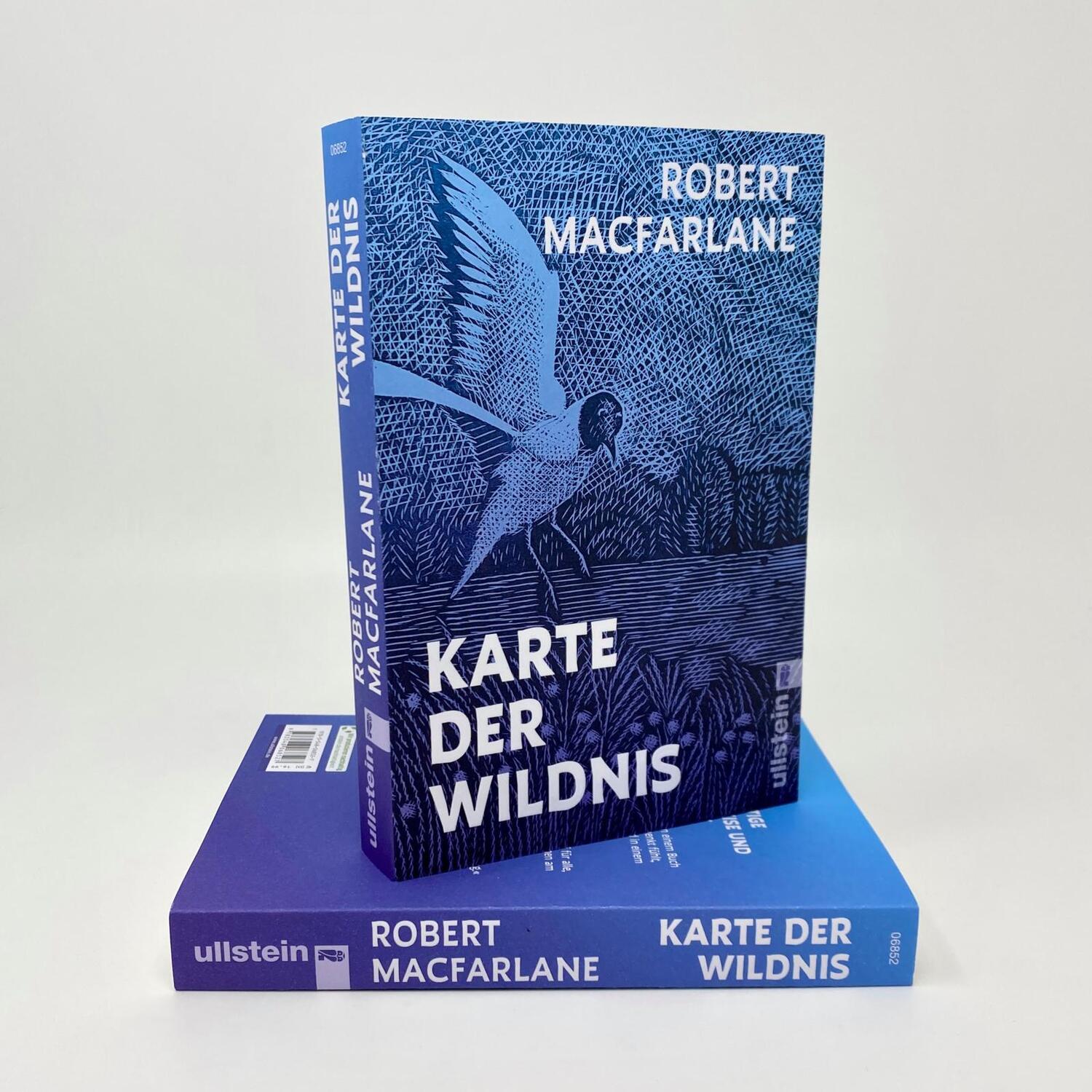 Bild: 9783548068527 | Karte der Wildnis | Robert Macfarlane | Taschenbuch | 304 S. | Deutsch