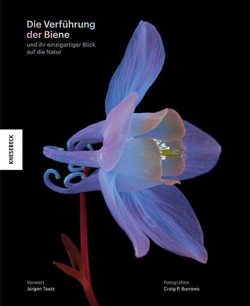 Cover: 9783957288059 | Die Verführung der Biene | und ihr einzigartiger Blick auf die Natur