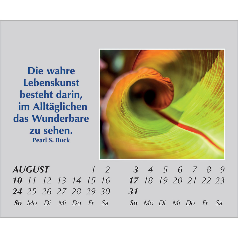 Bild: 9783754861554 | Hoffnung für jeden Tag 2025 | Kalender | Spiralbindung. Spiralbindung