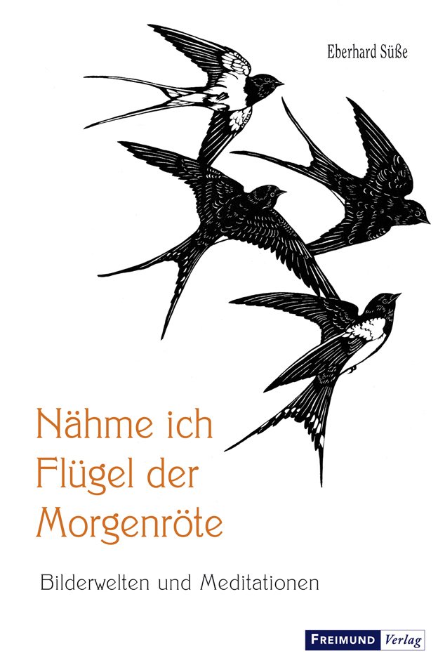 Cover: 9783946083771 | Nähme ich Flügel der Morgenröte | Bilderwelten und Meditationen | Süße