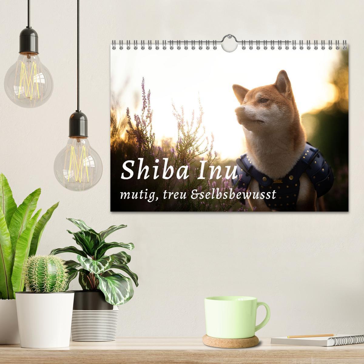 Bild: 9783435051779 | Shiba Inu - mutig, treu, selbstbewusst (Wandkalender 2025 DIN A4...