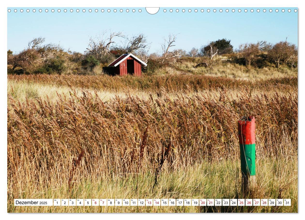 Bild: 9783457233559 | Insel Baltrum, Perle im Ostfriesischen Wattenmeer (Wandkalender...