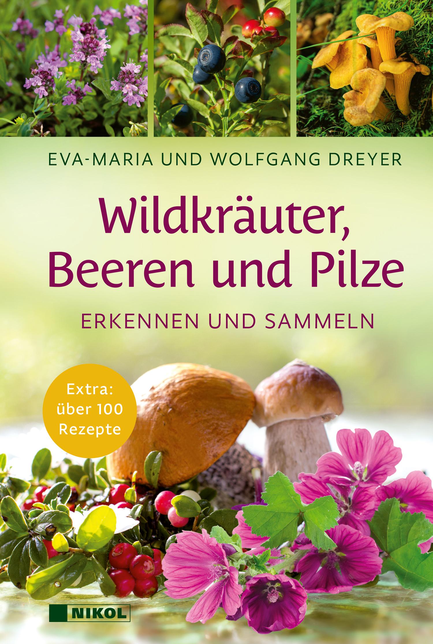 Cover: 9783868208511 | Wildkräuter, Beeren und Pilze | Eva-Maria Dreyer (u. a.) | Buch | 2025