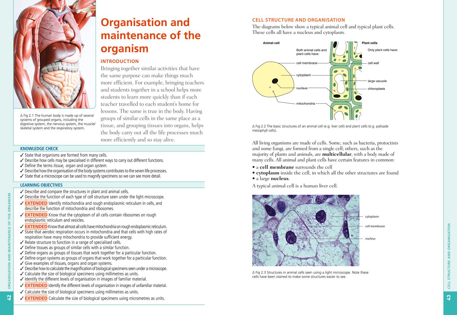 Bild: 9780007592524 | Cambridge Igcse(r) Biology: Student Book | Collins Uk | Taschenbuch