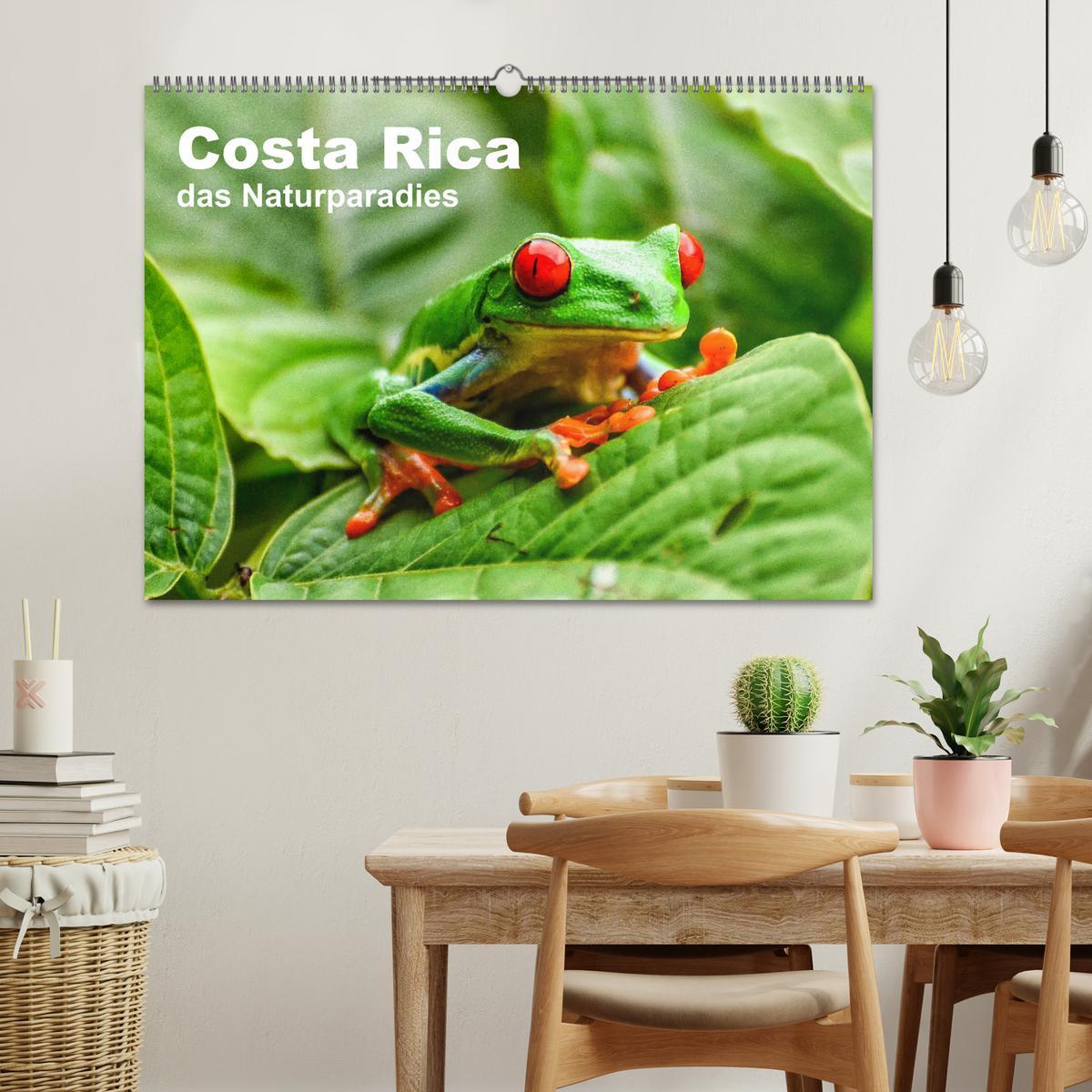 Bild: 9783435273997 | Costa Rica - das Naturparadies (Wandkalender 2025 DIN A2 quer),...