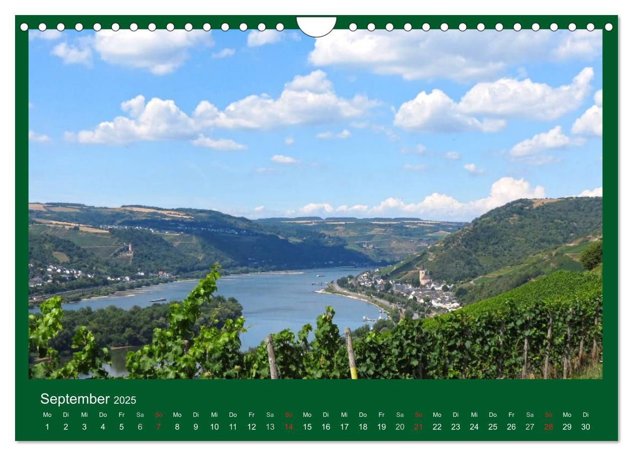 Bild: 9783435792481 | Im Rheingau (Wandkalender 2025 DIN A4 quer), CALVENDO Monatskalender