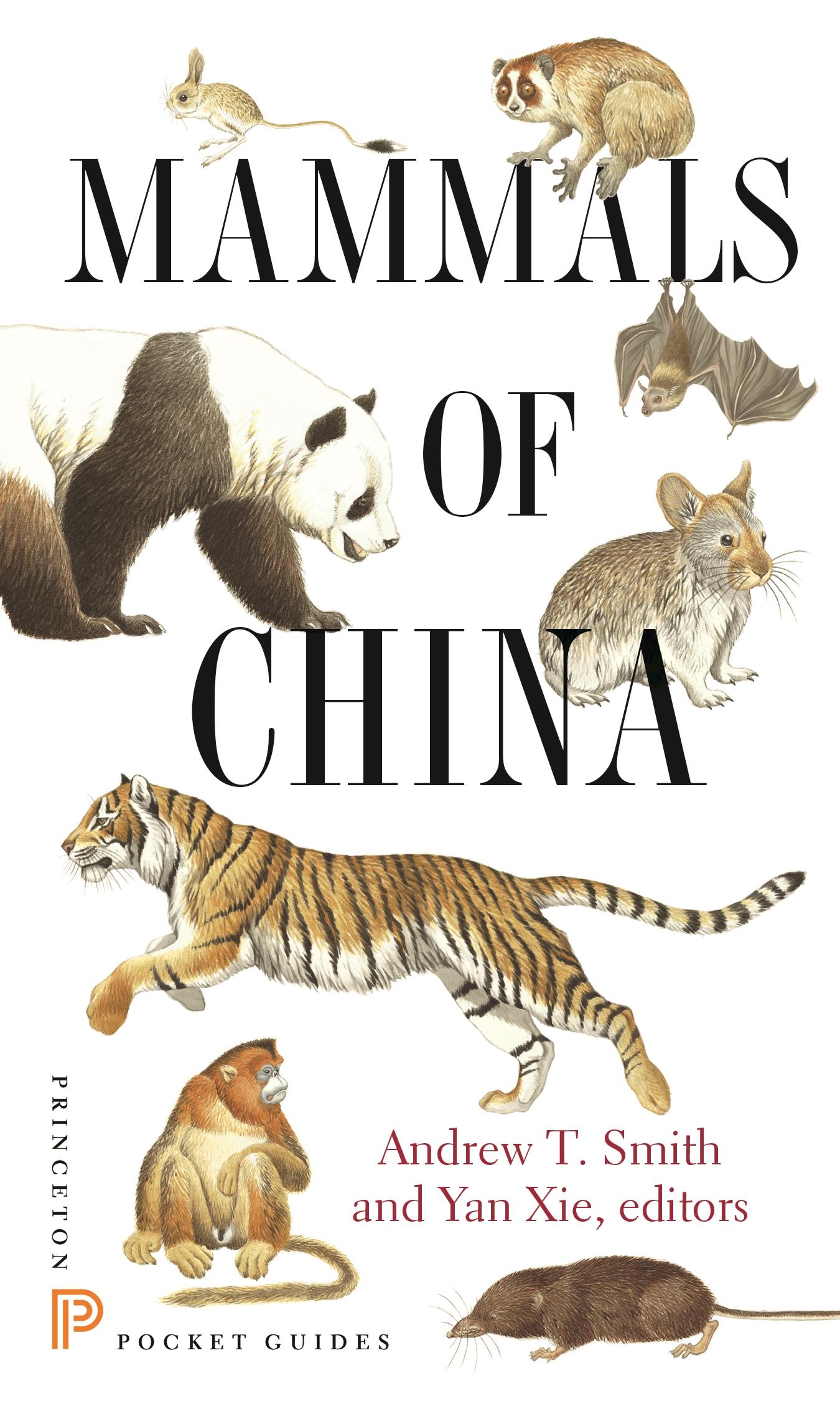 Cover: 9780691154275 | Mammals of China | Andrew T Smith (u. a.) | Taschenbuch | Englisch