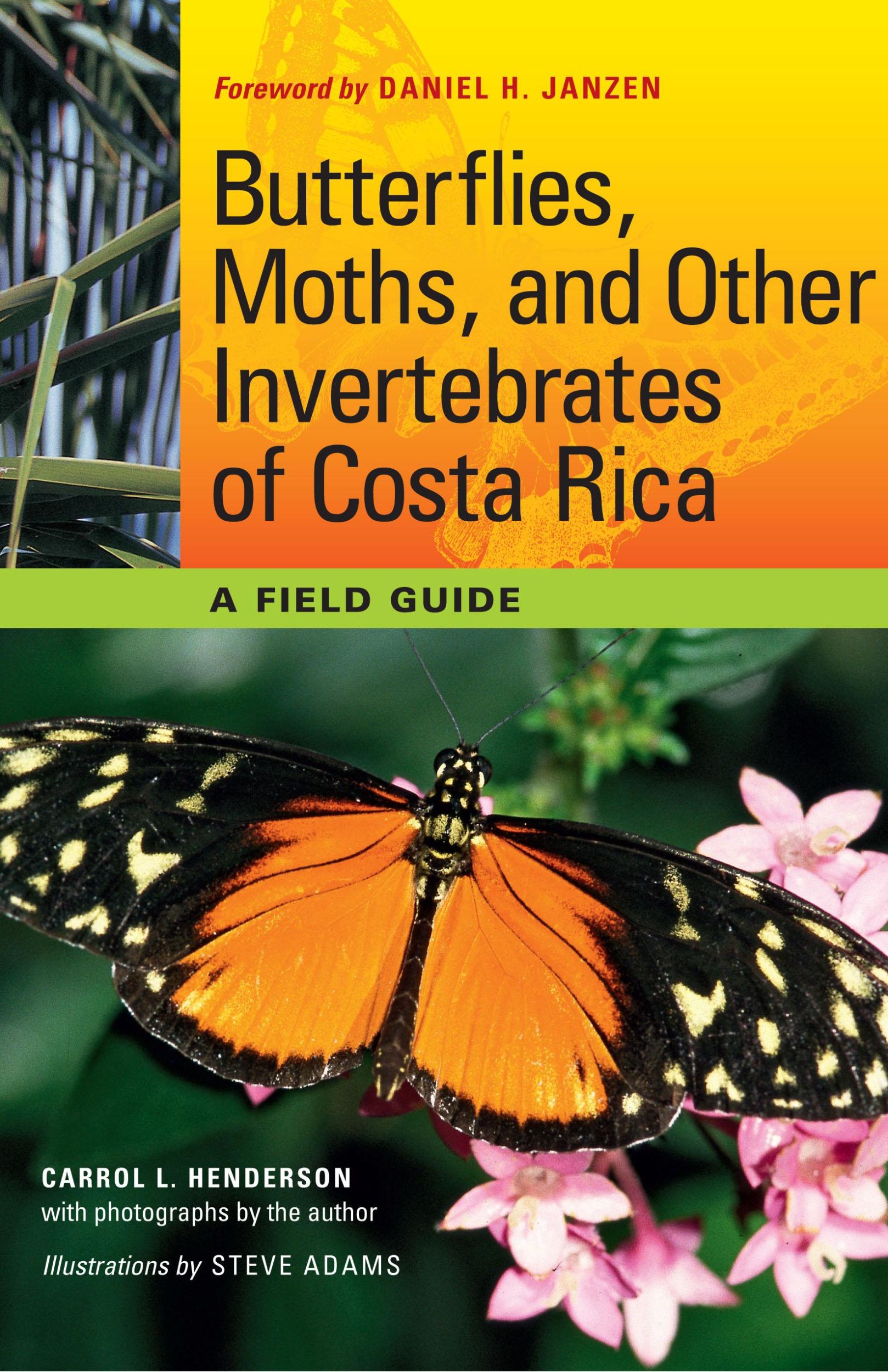 Cover: 9780292719668 | Butterflies, Moths, and Other Invertebrates of Costa Rica | Henderson