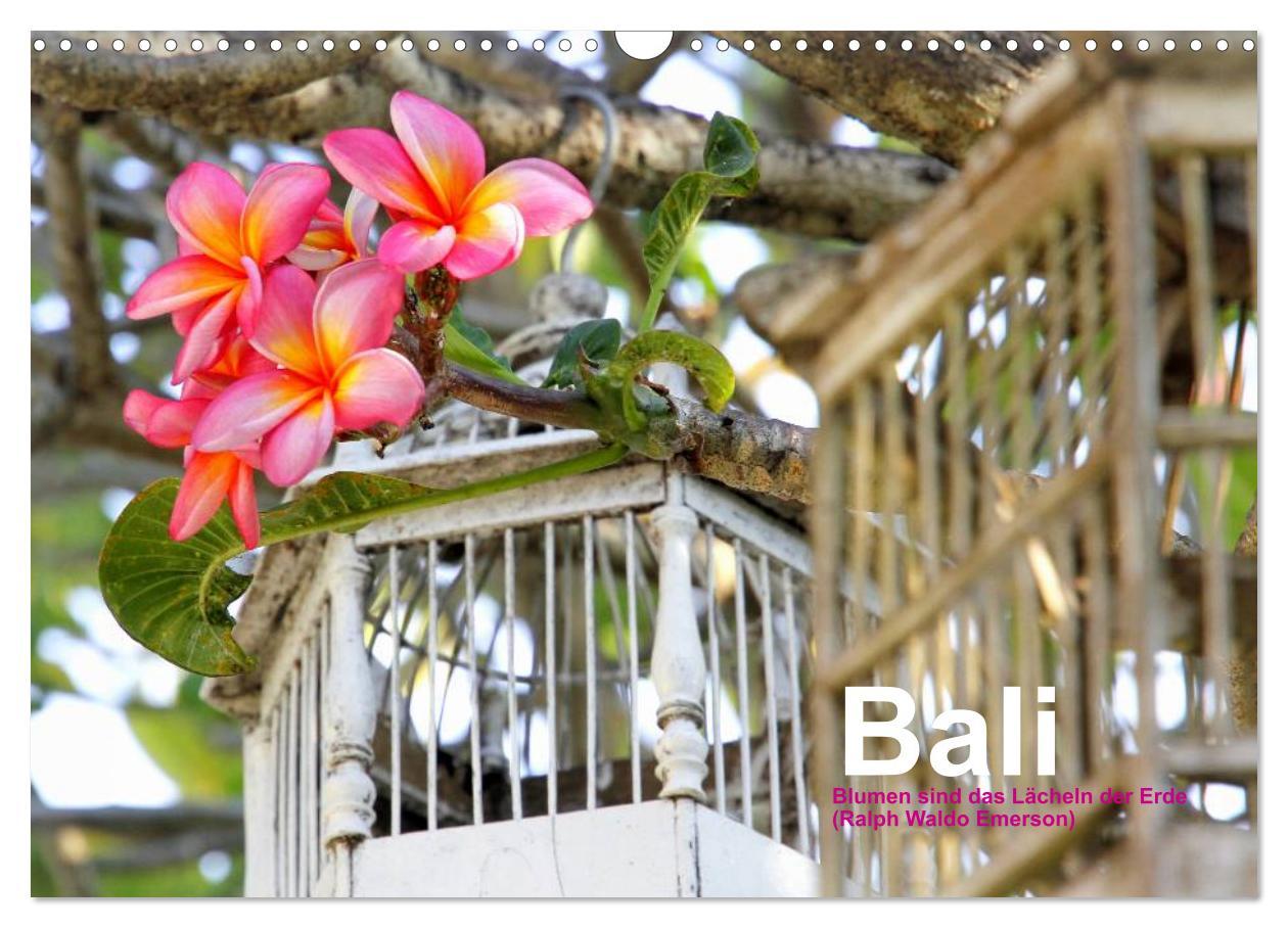 Cover: 9783435836109 | Bali (Wandkalender 2025 DIN A3 quer), CALVENDO Monatskalender | 2025